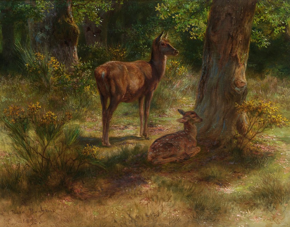 Rosa Bonheur - Deer and fawn